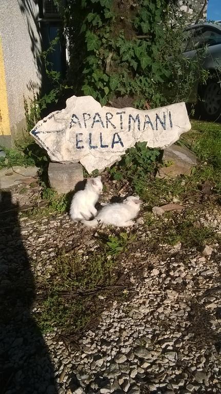 Ella Porec