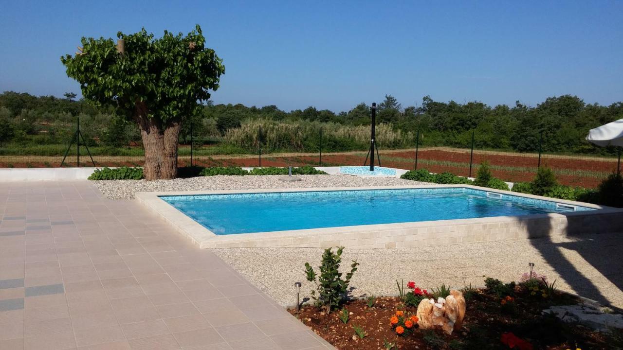 Apartment Ella Porec